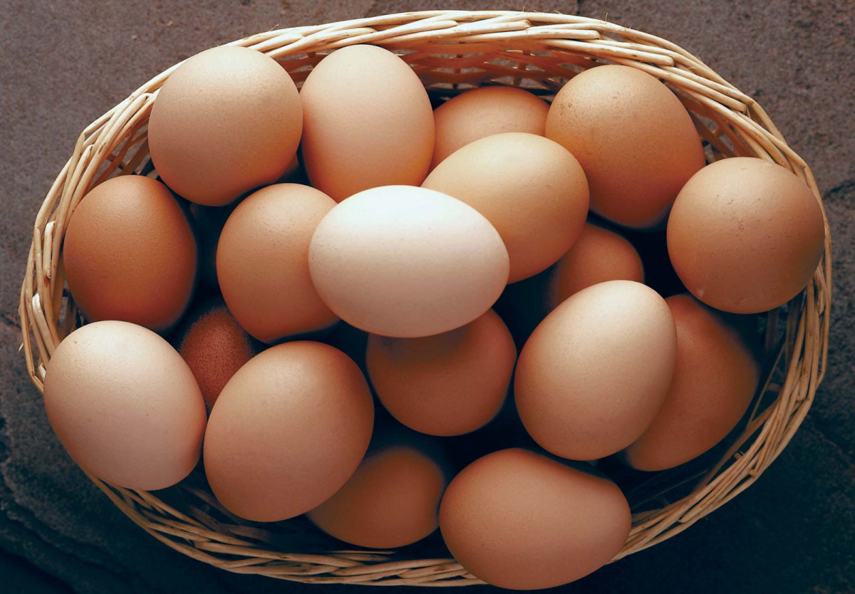 उत्पादन घटेसँगै अण्डाको मूल्य बढ्यो,