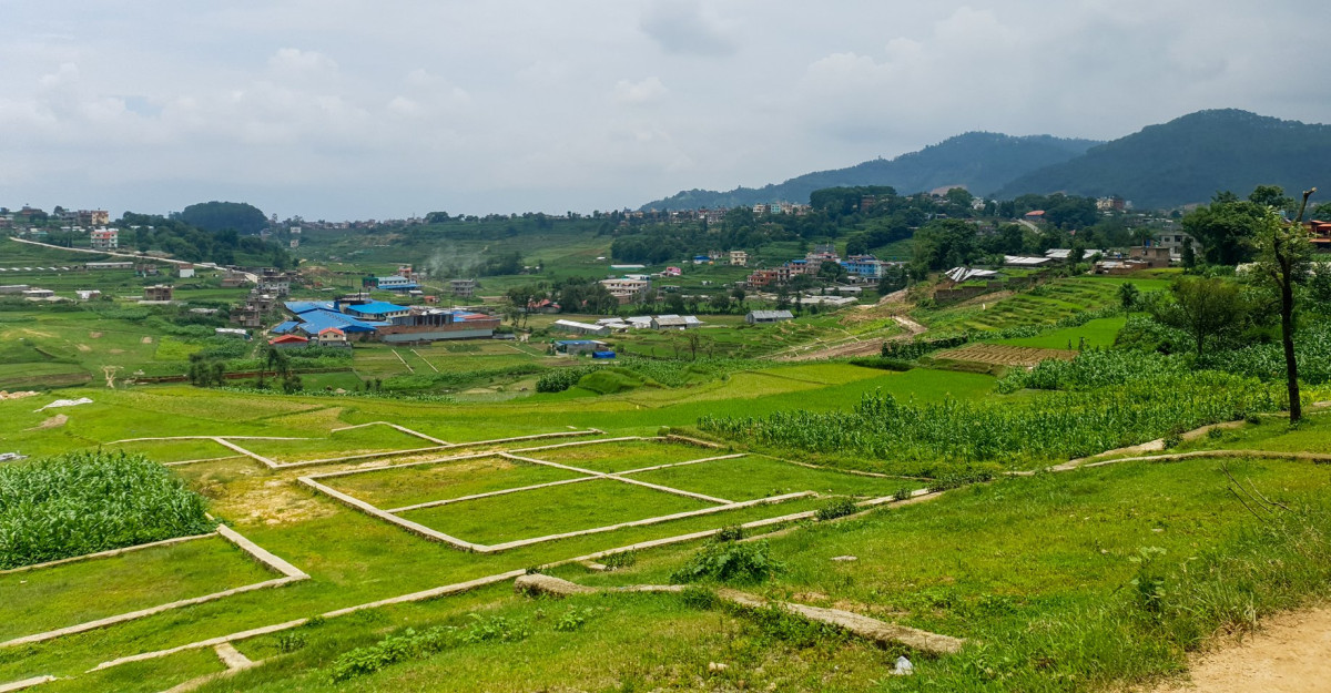 घरजग्गा कारोबार : राजस्व बढे पनि कारोबार गत वर्षजस्तै