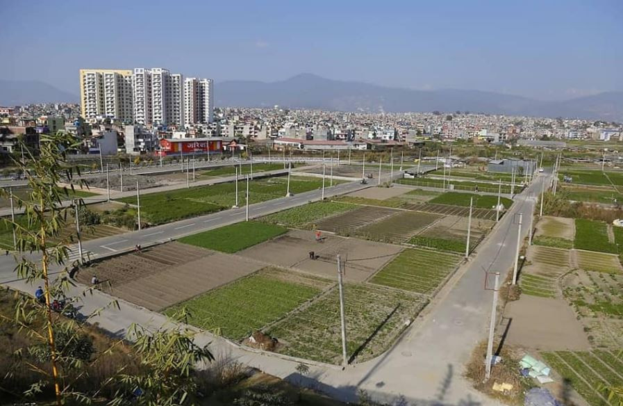घरजग्गा कारोबारसँगै बढ्यो राजस्व, कुन महिनामा कति ?