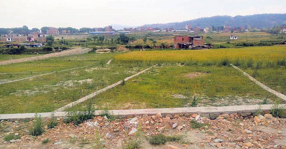 घरको तल्लामा अंशबण्डा गर्न पाइने र जग्गामा न्यूनतम प्लटको कानुन बनाइने