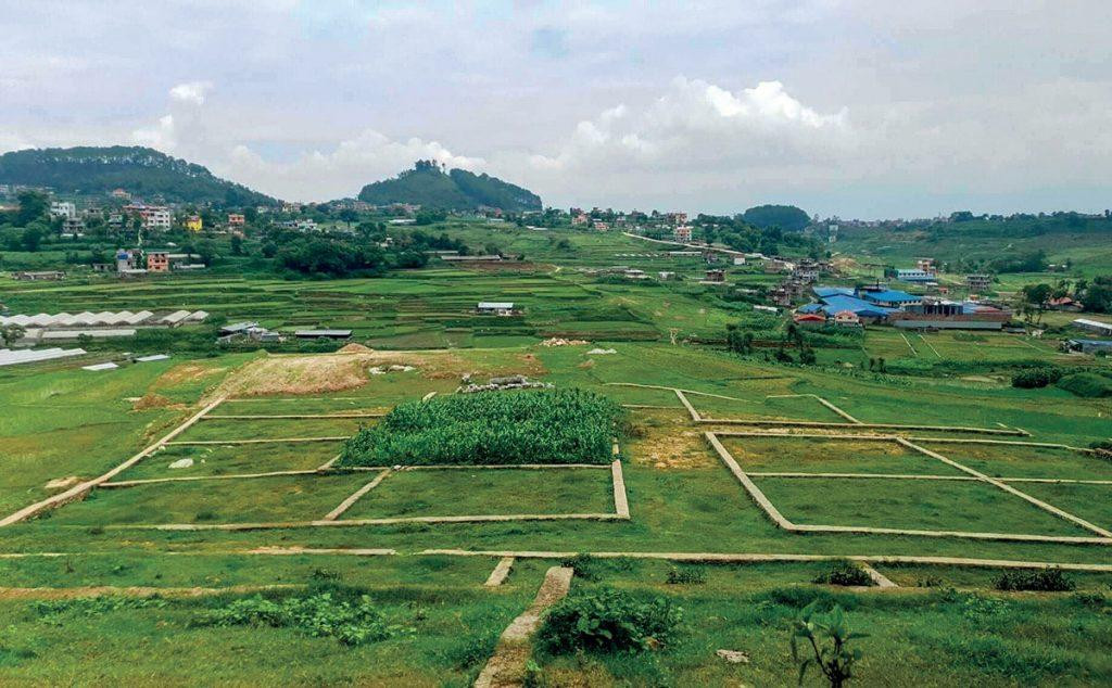 साउनमा २८ प्रतिशत घट्याे घरजग्गा कारोबार