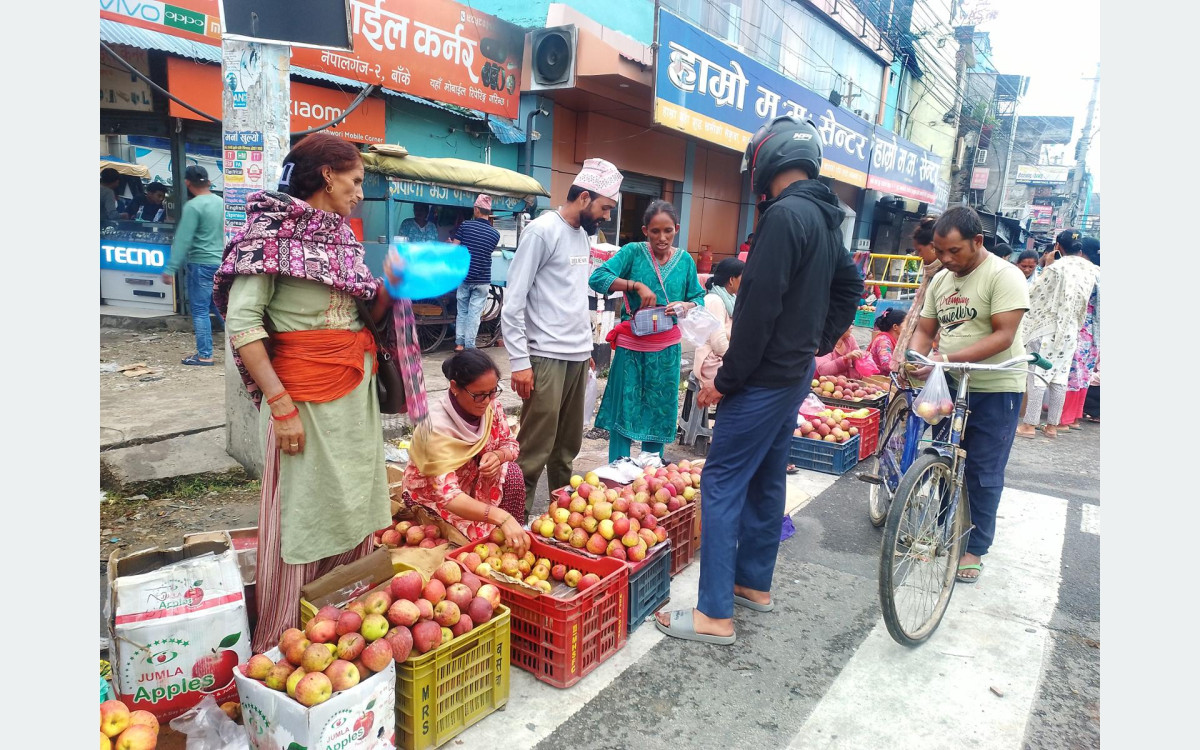 कर्णालीको स्याउ उपभोक्ताको पहिलो रोजाइमा