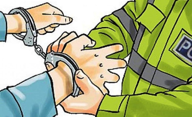 नक्कली कर्मचारी नियन्त्रणमा