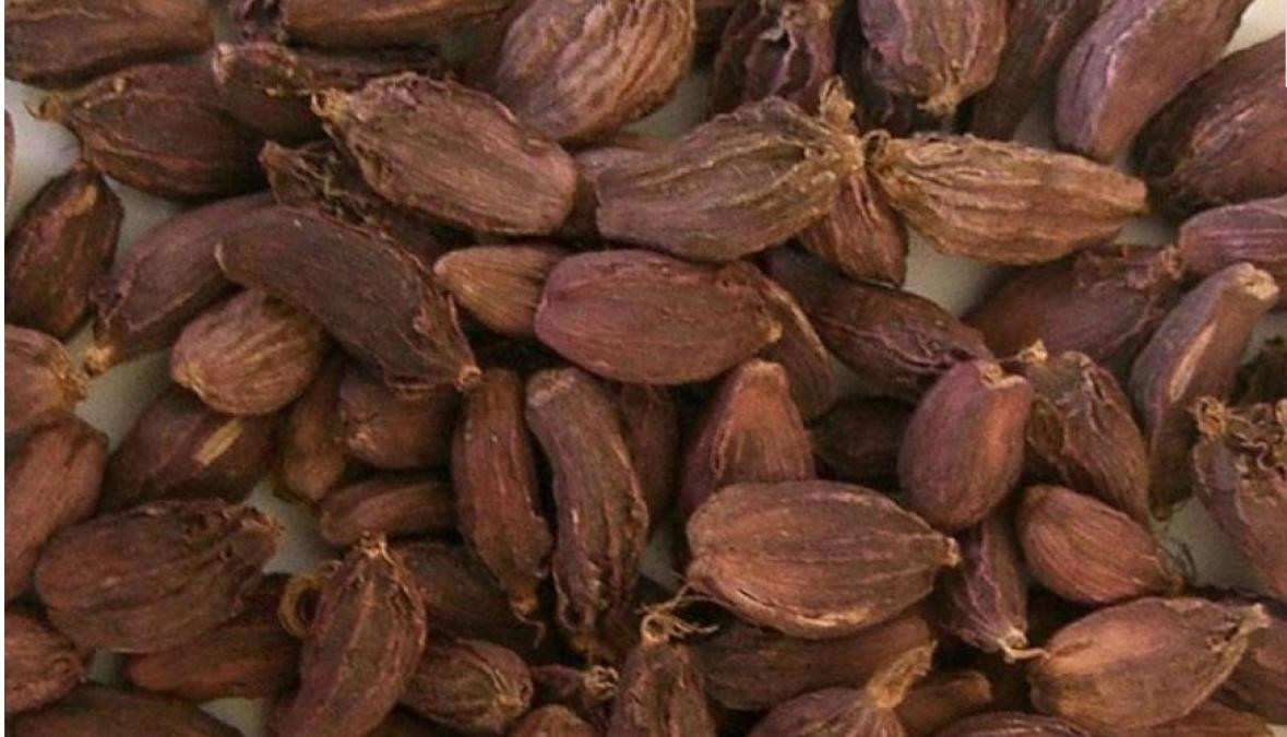 पहिलो त्रैमासमा एक अर्ब ६७ करोड ९१ लाखको अलैँची निर्यात