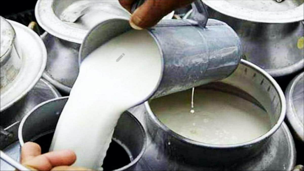 एउटै गाउँबाट दैनिक १७ सय लिटर दूध उत्पादन