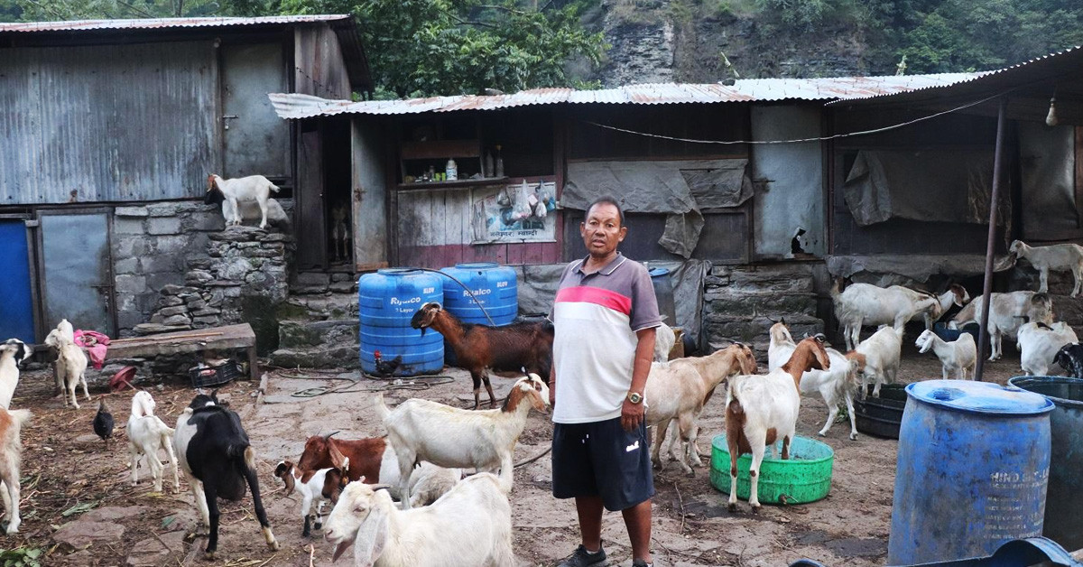 बाख्राले दिलाएको सम्मान र सन्तुष्टि