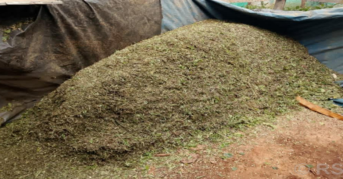 पातपतिङ्गरबाट प्राङ्गरिक मल