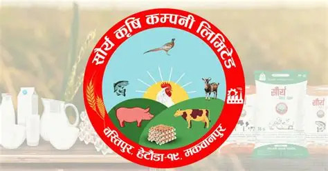 कन्ट्र्याक्ट खेतीमार्फत ब्रोइलर कुखुरापालन विस्तार गर्दै सौर्य कृषि कम्पनी