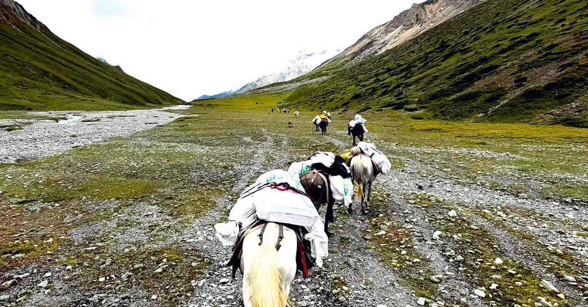 रुइला र ङुइला नाका खुलेपछि स्थानीय हर्षित